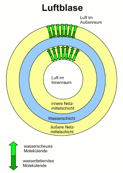 Grafik: Schema einer Schaumblase